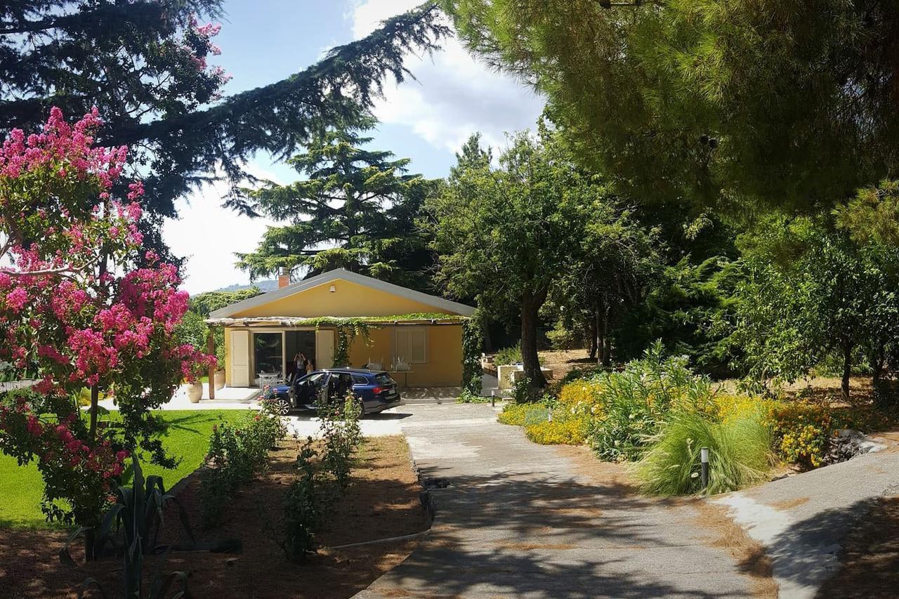 Villa Palm Hill Piedimonte Etneo Exterior photo