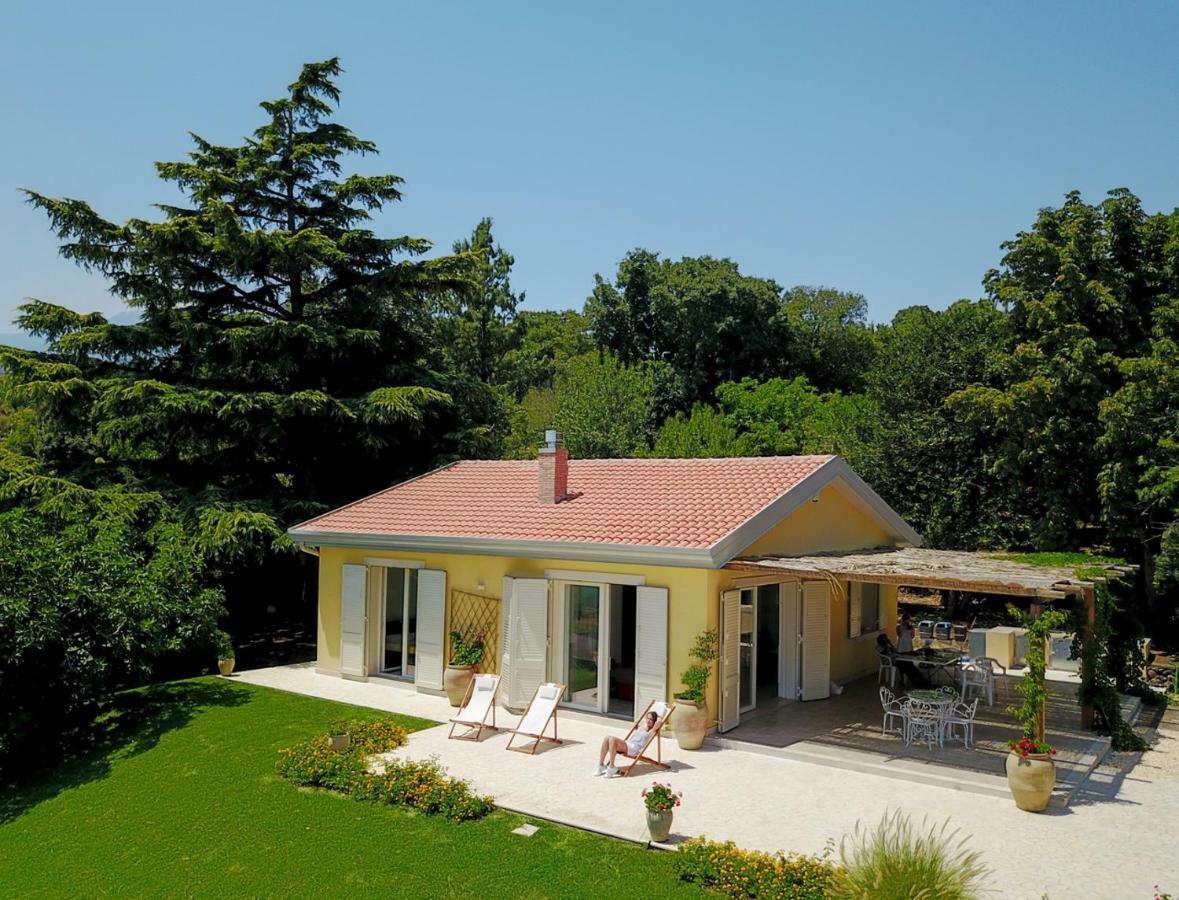 Villa Palm Hill Piedimonte Etneo Exterior photo