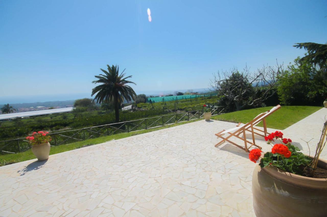 Villa Palm Hill Piedimonte Etneo Exterior photo